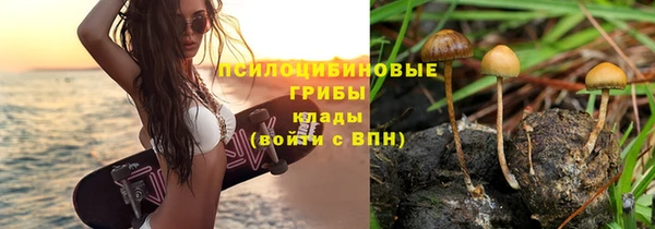 герыч Алексин