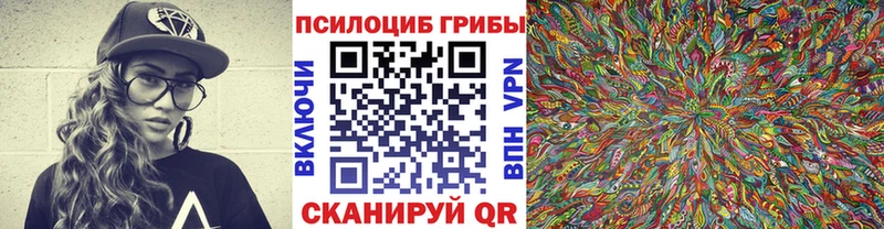 кракен зеркало  Палласовка  Псилоцибиновые грибы мицелий 